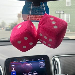 Car dice